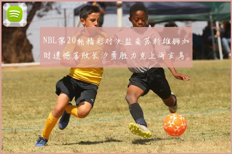 NBL第20轮精彩对决盐南苏科雄狮加时遗憾落败长沙勇胜力克上海玄鸟