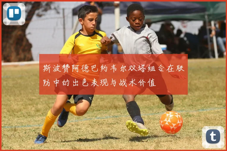斯波赞阿德巴约韦尔双塔组合在联防中的出色表现与战术价值