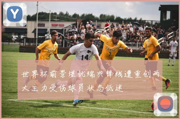 世界杯前景堪忧瑞典锋线遭重创两大主力受伤球员状态低迷