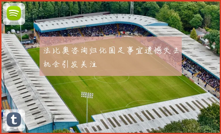 法比奥咨询归化国足事宜遗憾失去机会引发关注