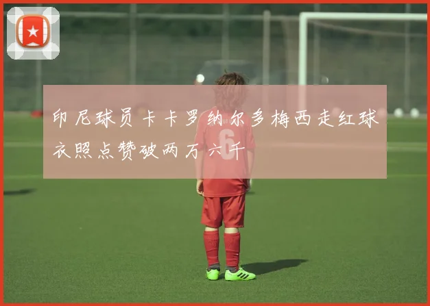印尼球员卡卡罗纳尔多梅西走红球衣照点赞破两万六千