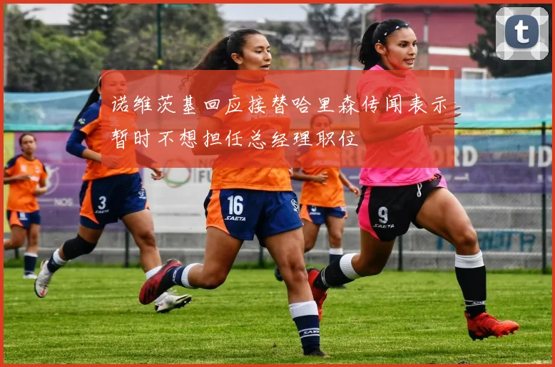 诺维茨基回应接替哈里森传闻表示暂时不想担任总经理职位