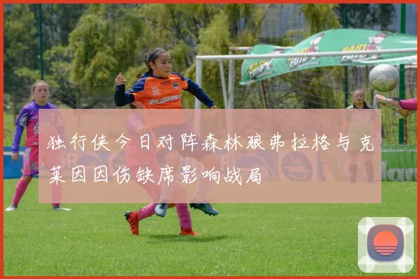 独行侠今日对阵森林狼弗拉格与克莱因因伤缺席影响战局