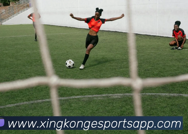 App Interface Preview