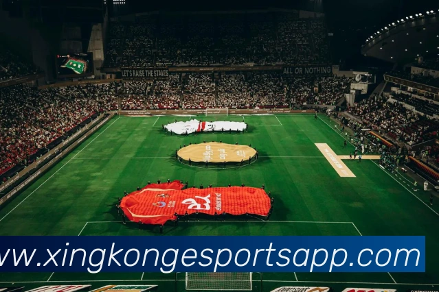 星空电竞APP 封面图