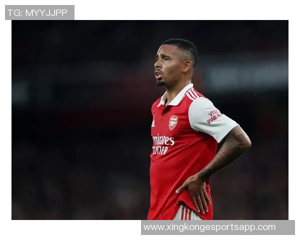 名宿建议阿森纳冬窗应保留所有球员热苏斯是理想的替补选择